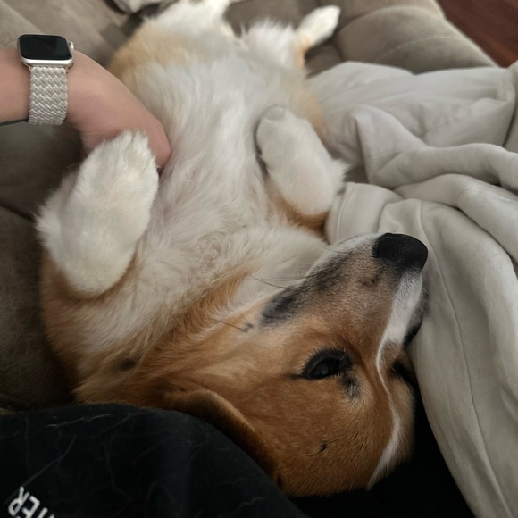 Meet your Posher, Kinzie - Picture 2 of 4